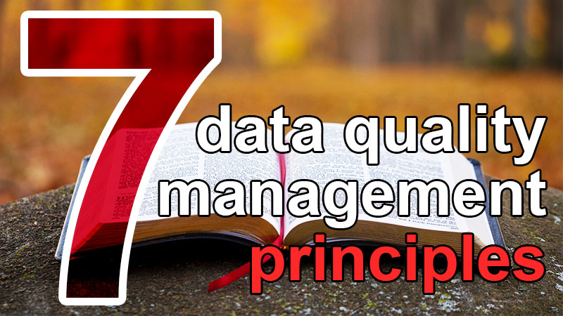 7 data quality management principles