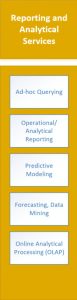 business intelligence reporting services