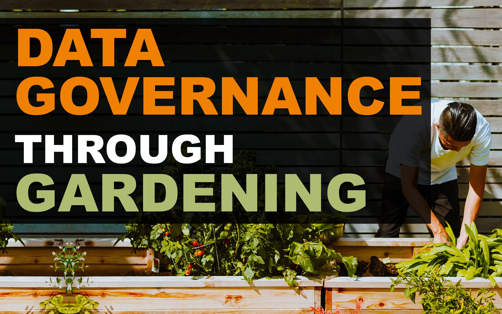 data governance implementation analogy through gardening