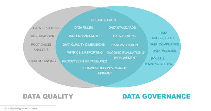 data quality and data governance overlap