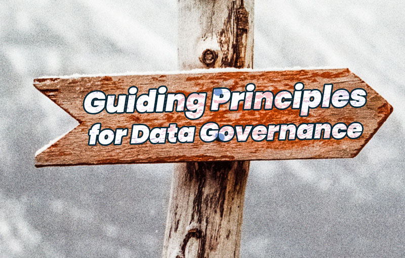 data governance guiding principles