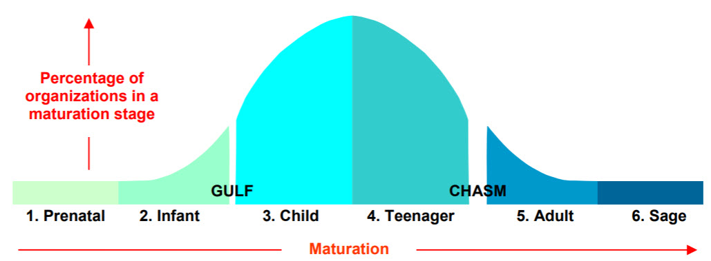 tdwi data governance maturity model