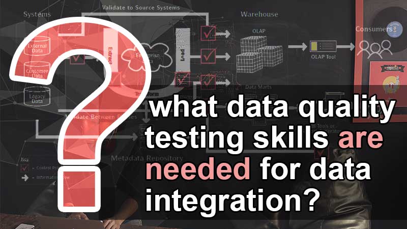 What data quality testing skills