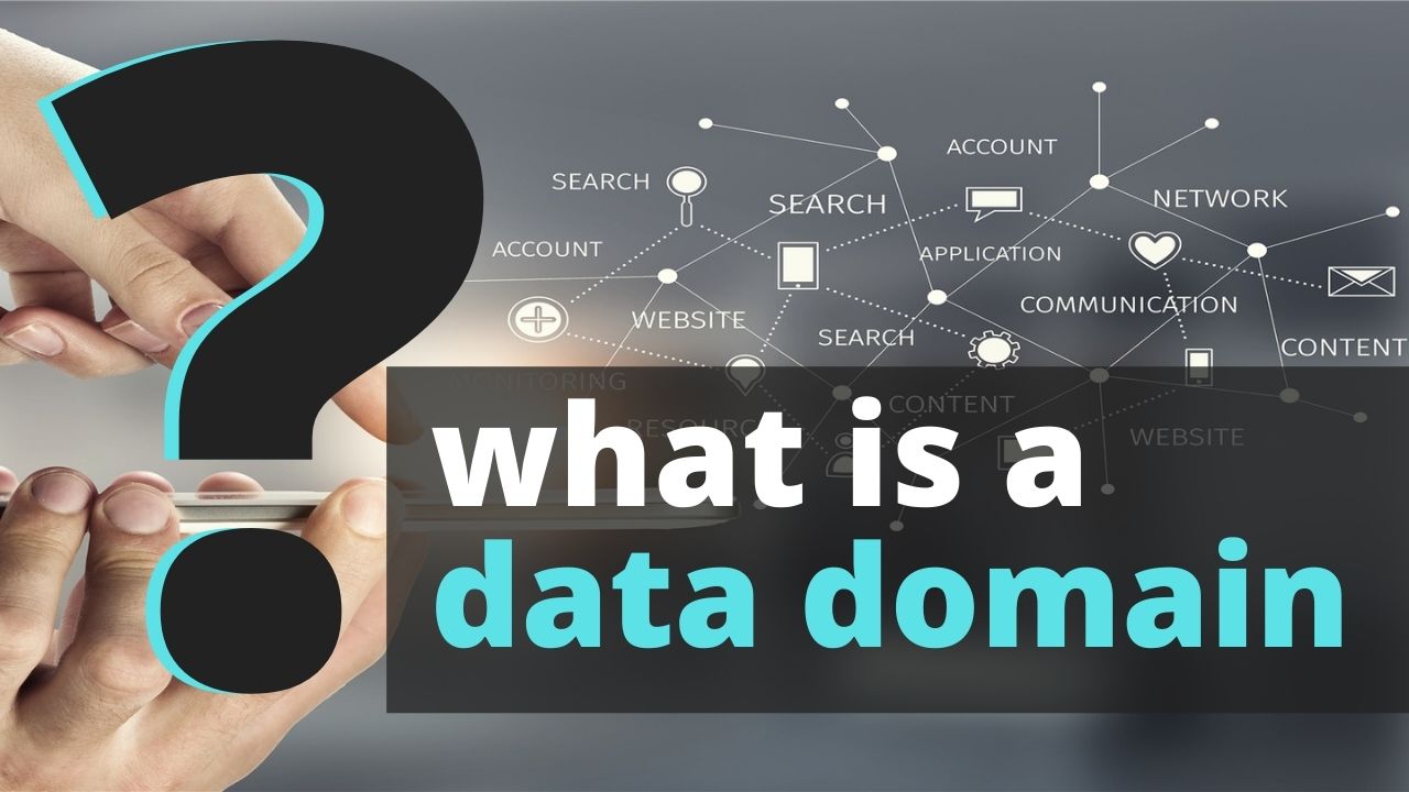 what is a data domain