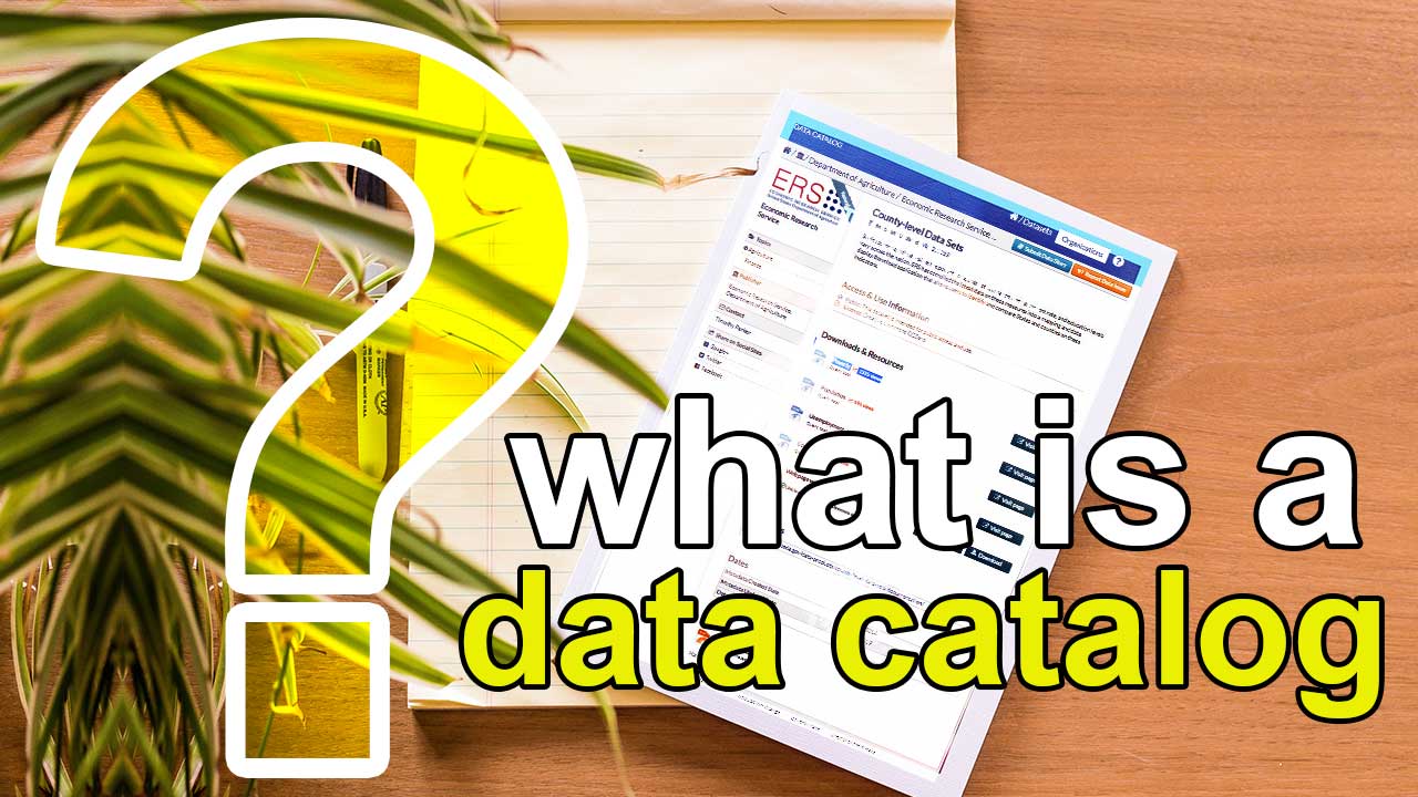 what is a data catalog