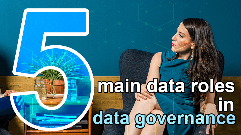 5 main data roles in data governance