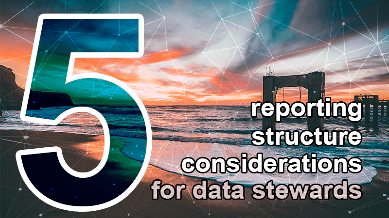 5 reporting structure considerations data steward