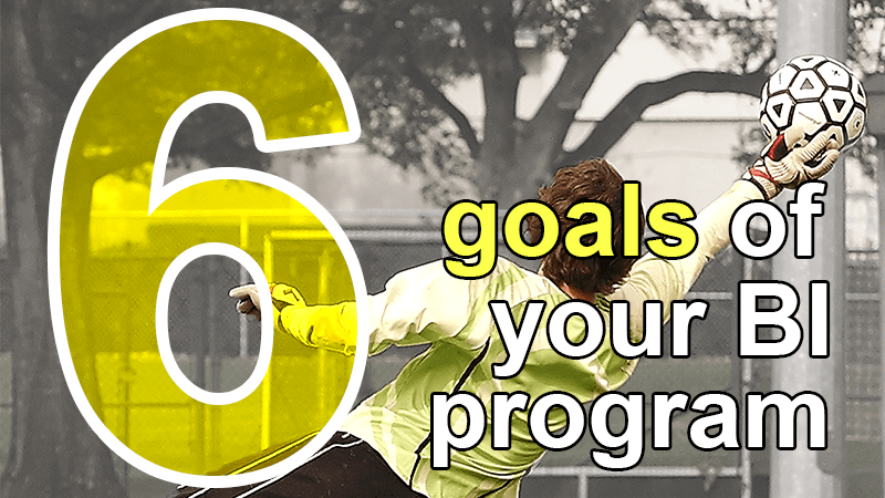6 goals BI program