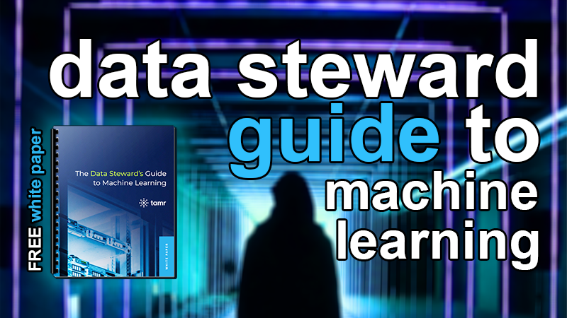 data steward's guide to machine learning