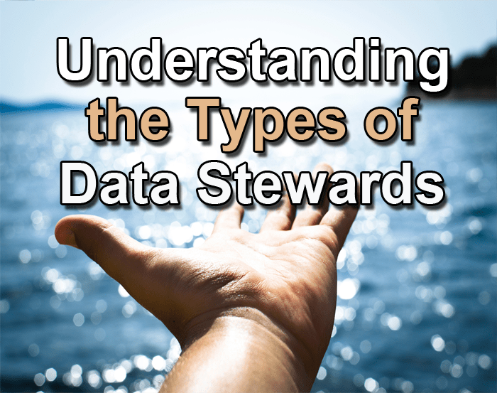 data steward types