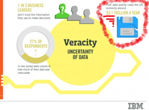 IBM data quality costs