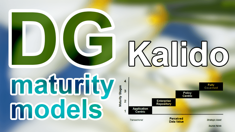 kalido maturity model