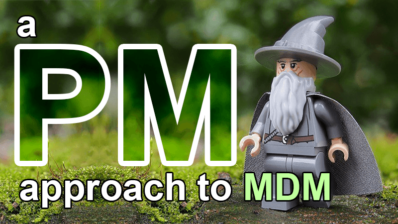 a project manager approach to MDM
